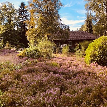 Landhaus Mitten In Der Lueneburger Heide Ундело Экстерьер фото