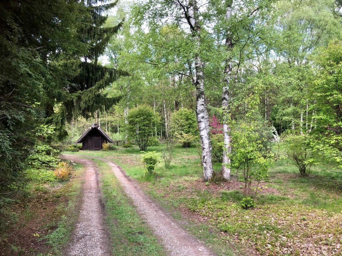 Landhaus Mitten In Der Lueneburger Heide Ундело Экстерьер фото