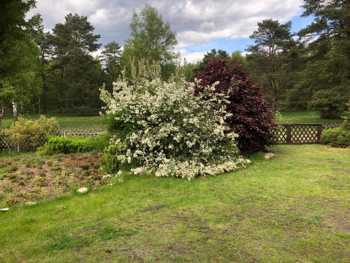Landhaus Mitten In Der Lueneburger Heide Ундело Экстерьер фото