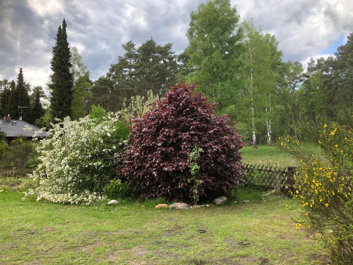 Landhaus Mitten In Der Lueneburger Heide Ундело Экстерьер фото