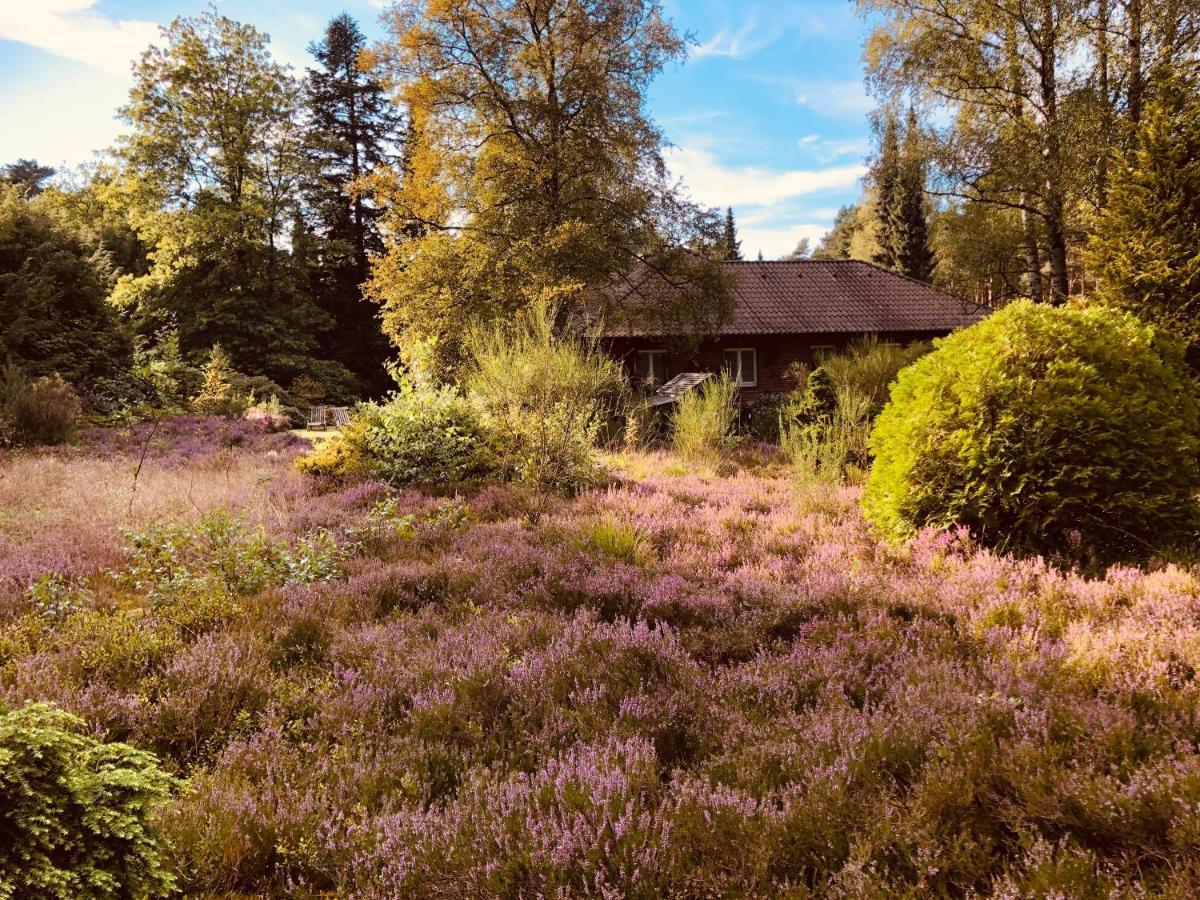 Landhaus Mitten In Der Lueneburger Heide Ундело Экстерьер фото