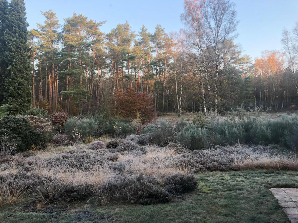 Landhaus Mitten In Der Lueneburger Heide Ундело Экстерьер фото