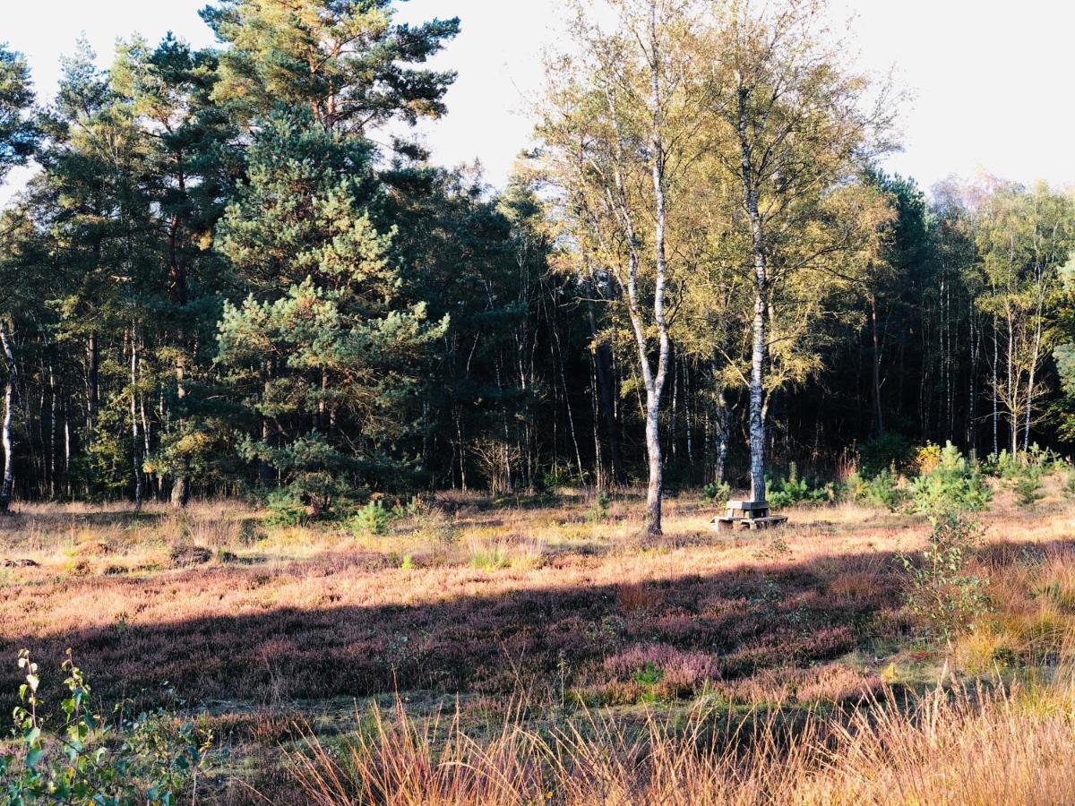 Landhaus Mitten In Der Lueneburger Heide Ундело Экстерьер фото